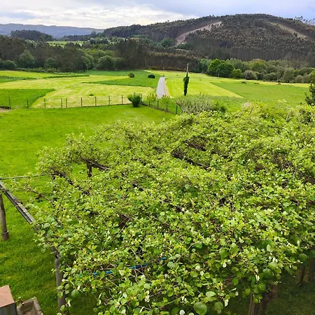 Con Amplio Terreno Privado